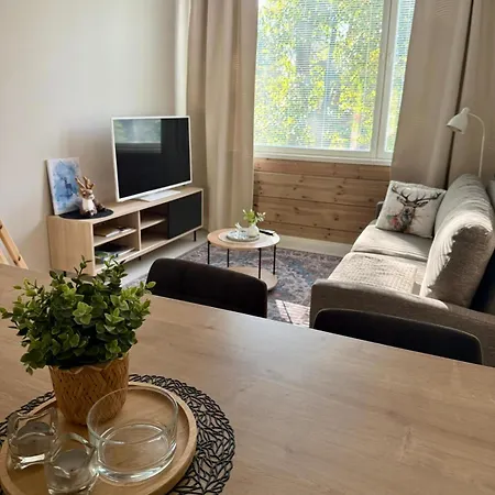 Vaaranhuoneistot * 索特