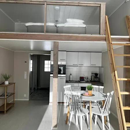 公寓 Vaaranhuoneistot 索特