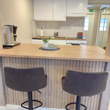 公寓 Vaaranhuoneistot 索特